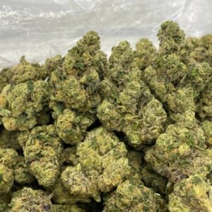 apple fritter strain