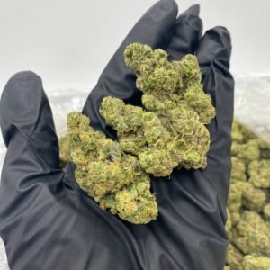 import placeholder for 15964