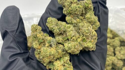 import placeholder for 15964