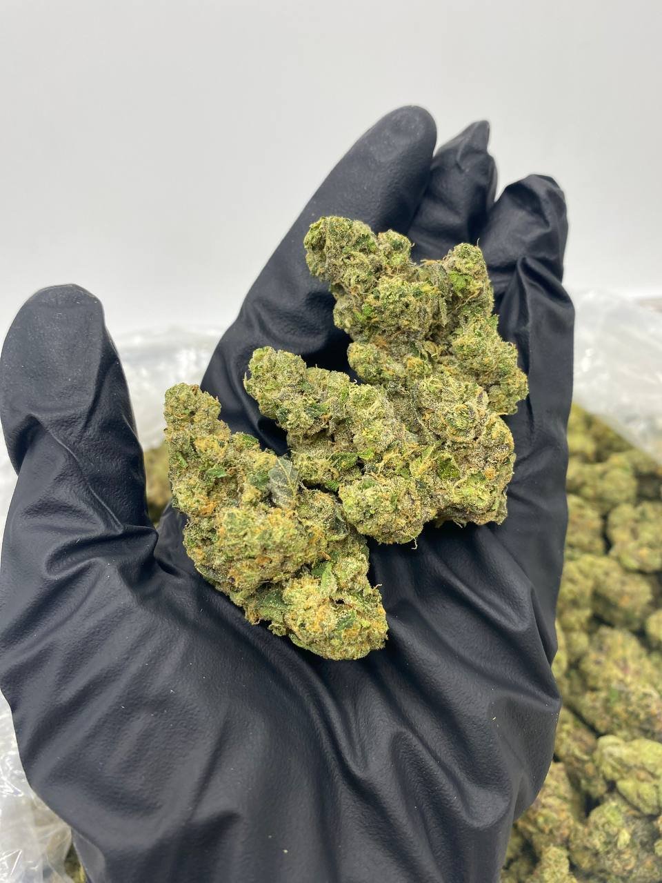 import placeholder for 15964