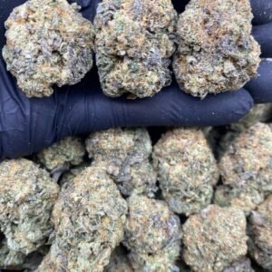 import placeholder for 15708