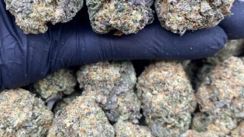 import placeholder for 15708