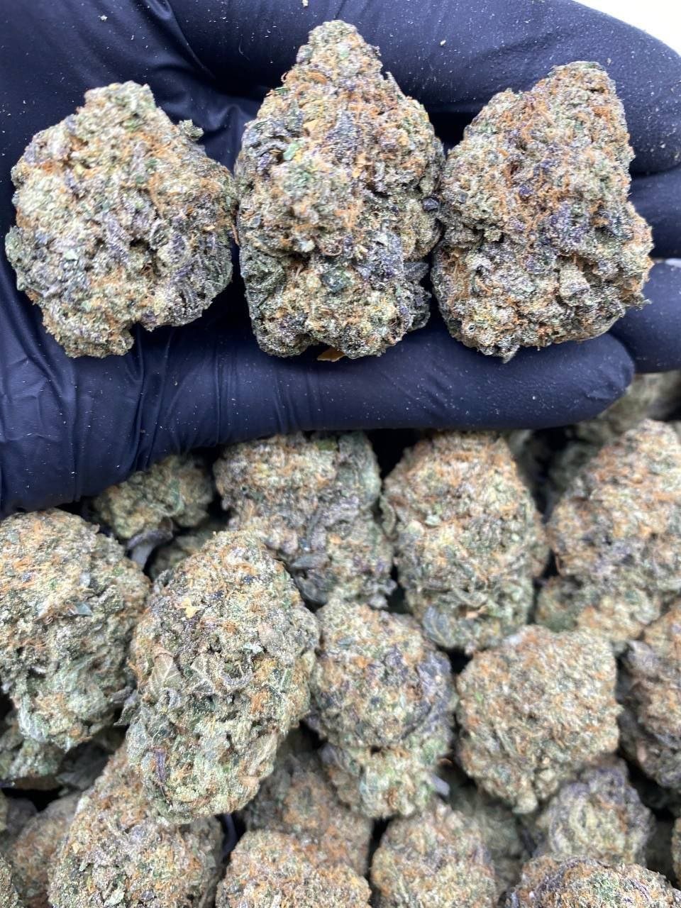 import placeholder for 15708