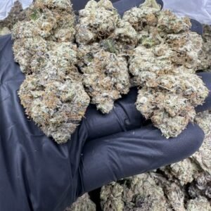 import placeholder for 16458 import placeholder for 16458