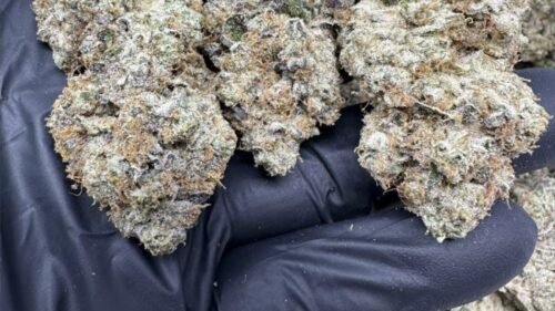 import placeholder for 16458 import placeholder for 16458