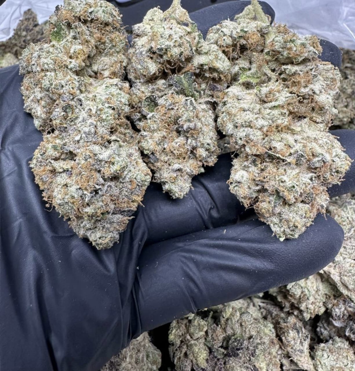 import placeholder for 16458 import placeholder for 16458