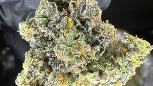 import placeholder for 16414