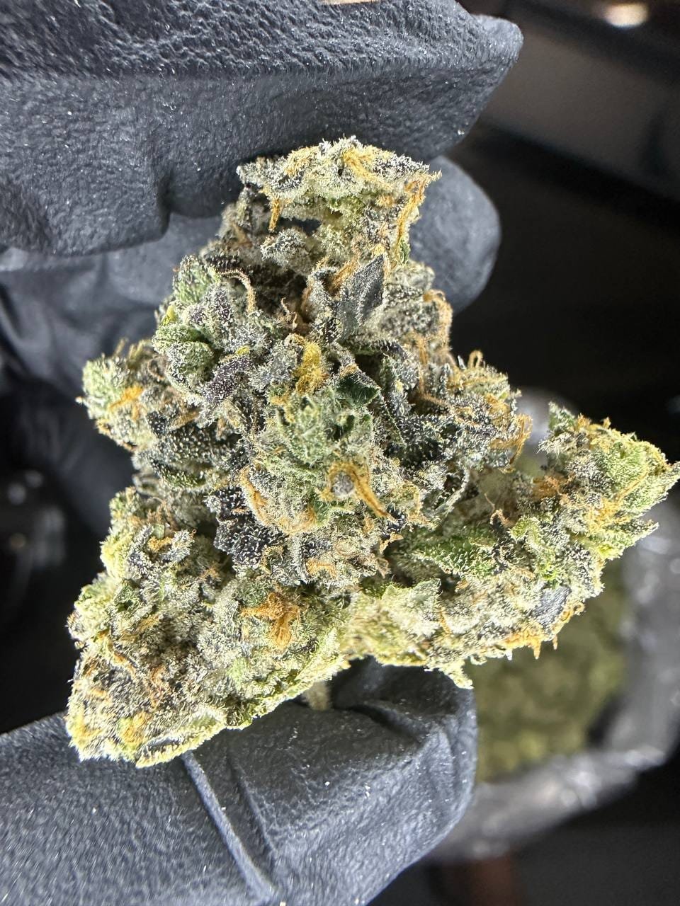 import placeholder for 16414