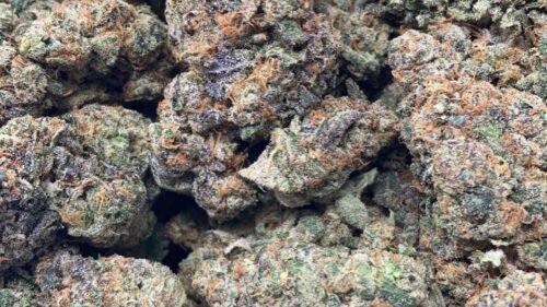 import placeholder for 16163