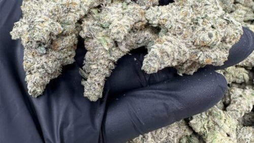 import placeholder for 16454 import placeholder for 16454