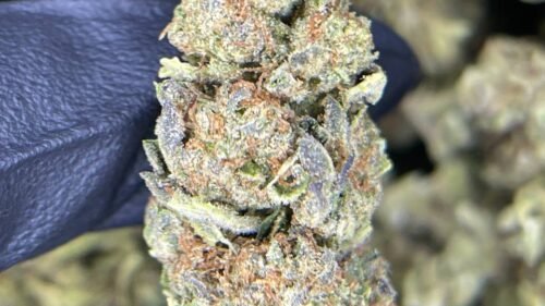 import placeholder for 16446