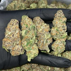 import placeholder for 16013 import placeholder for 16013