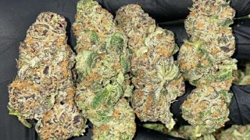 import placeholder for 16013