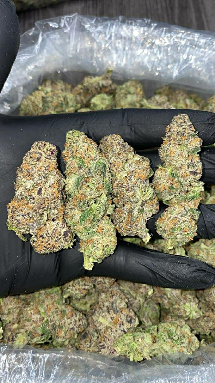 import placeholder for 16013 import placeholder for 16013