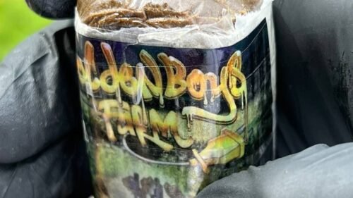 import placeholder for 91