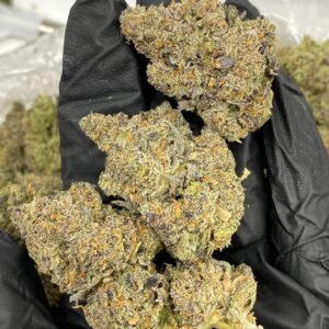 import placeholder for 16158