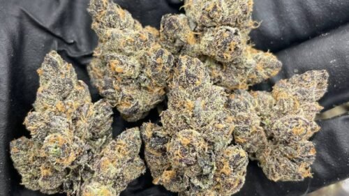 import placeholder for 15757