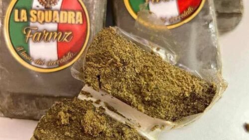 MANDARINE COOKIES - LA SQUADRA FARMZ HASH | Citrus Zest & Earthy Bliss