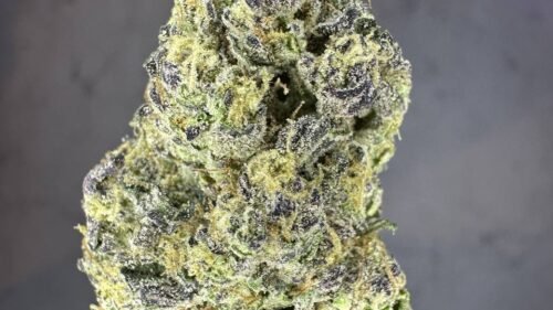 import placeholder for 16375 import placeholder for 16375