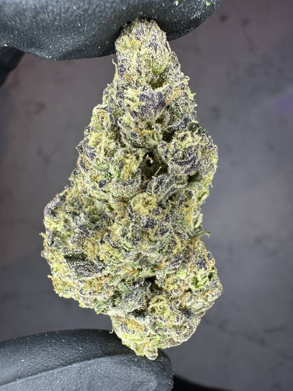 import placeholder for 16375 import placeholder for 16375