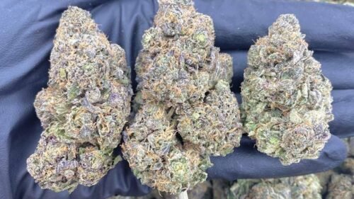 import placeholder for 16151