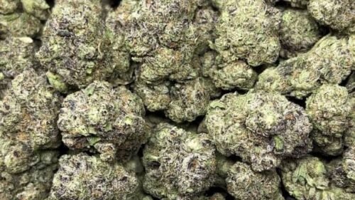 import placeholder for 15937