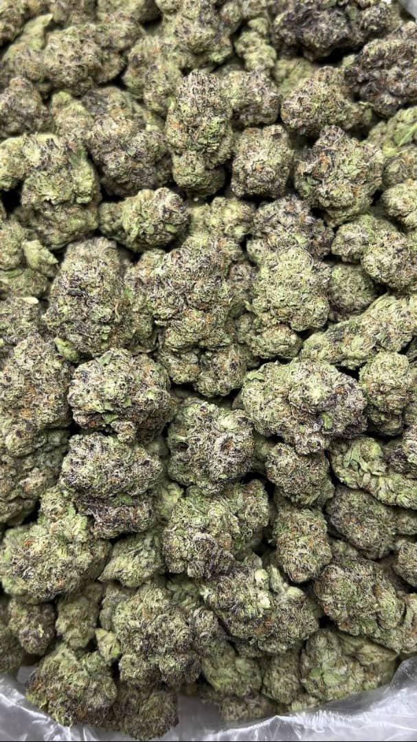 import placeholder for 15937