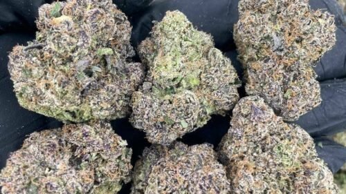 import placeholder for 16023