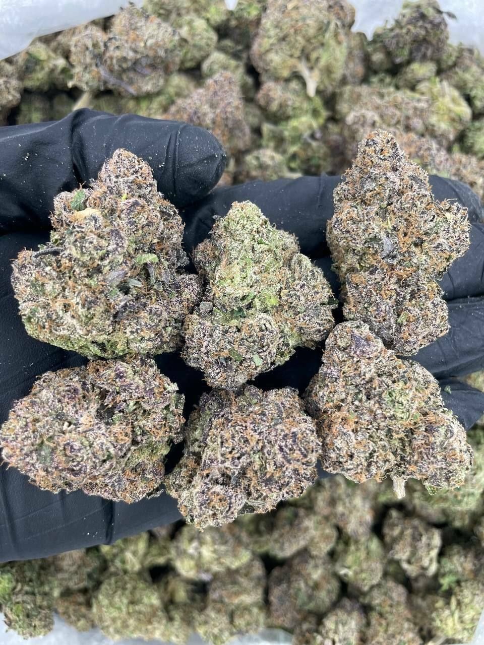 import placeholder for 16023