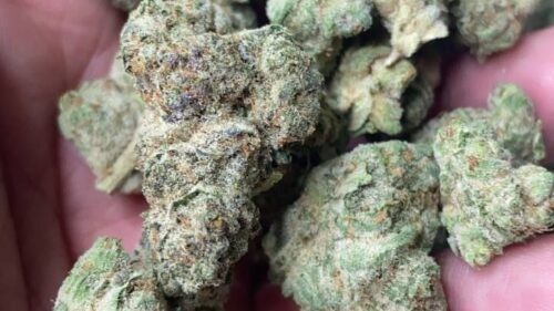 import placeholder for 16153