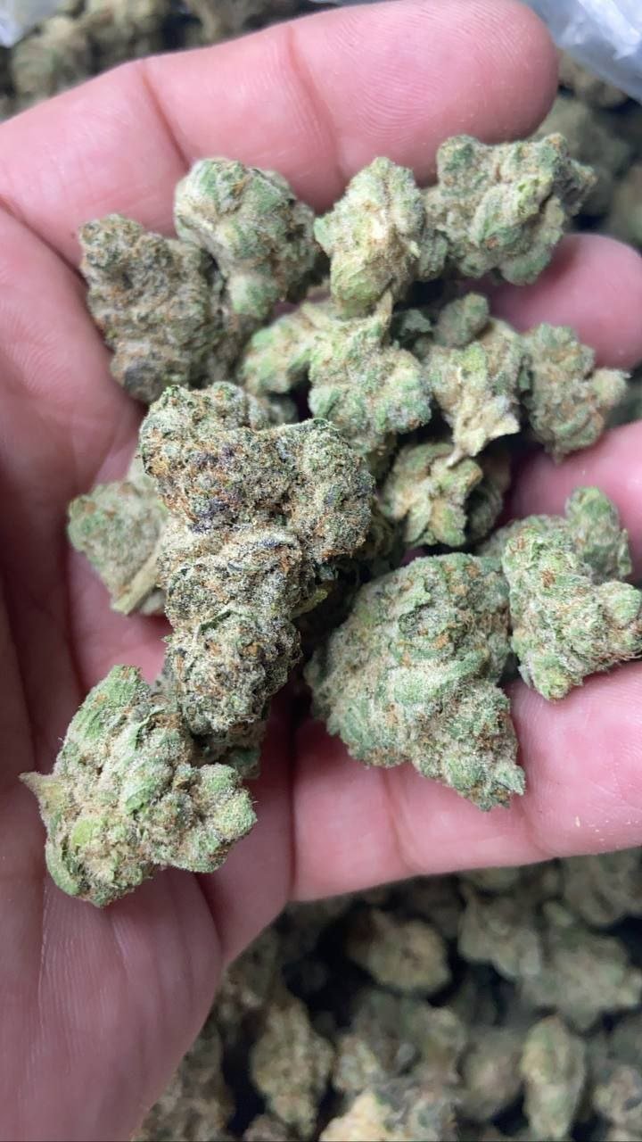 import placeholder for 16153