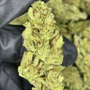 import placeholder for 16443 import placeholder for 16443