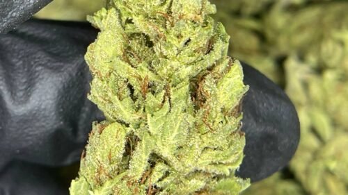 import placeholder for 16443 import placeholder for 16443