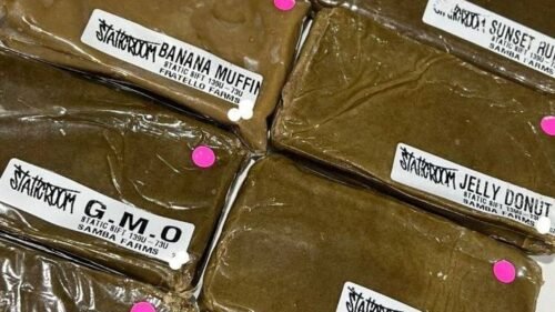 import placeholder for 16149