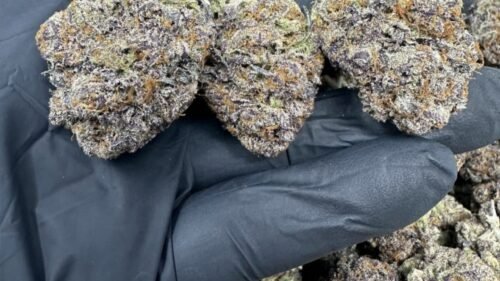 import placeholder for 16450