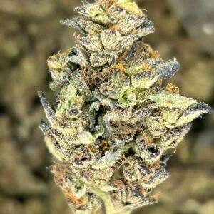 import placeholder for 16418 import placeholder for 16418