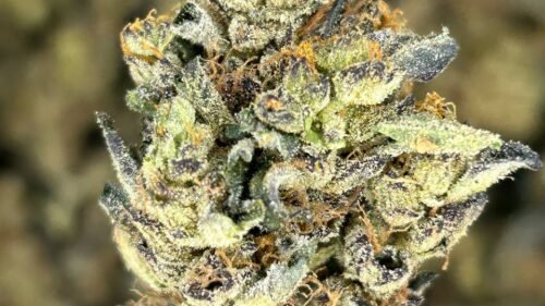 import placeholder for 16418 import placeholder for 16418