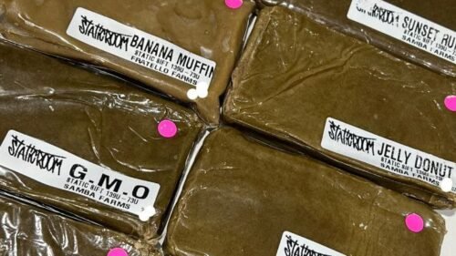 Order StaticRoom Governmint Oasis Static Sift 139u - 73u Samba Farms Order StaticRoom Governmint Oasis Static Sift 139u - 73u Samba Farms