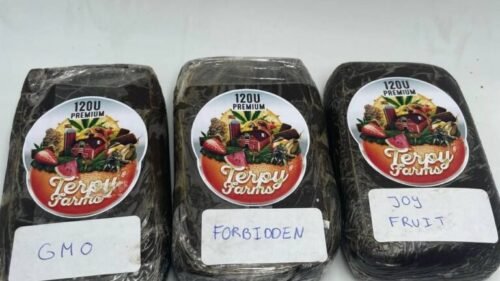 import placeholder for 16671