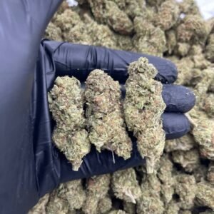 import placeholder for 15872