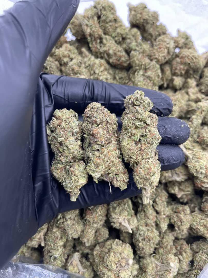 import placeholder for 15872