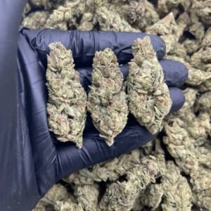 import placeholder for 15912