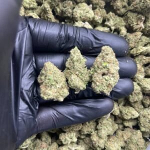 import placeholder for 15932