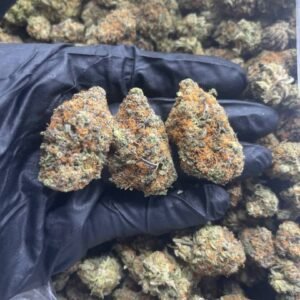 import placeholder for 15938