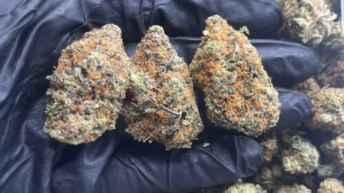 import placeholder for 15938