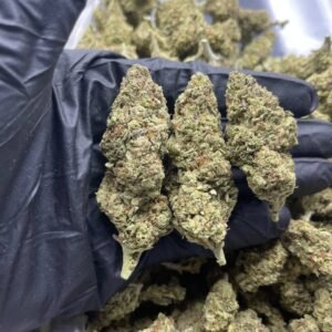 import placeholder for 15969 import placeholder for 15969