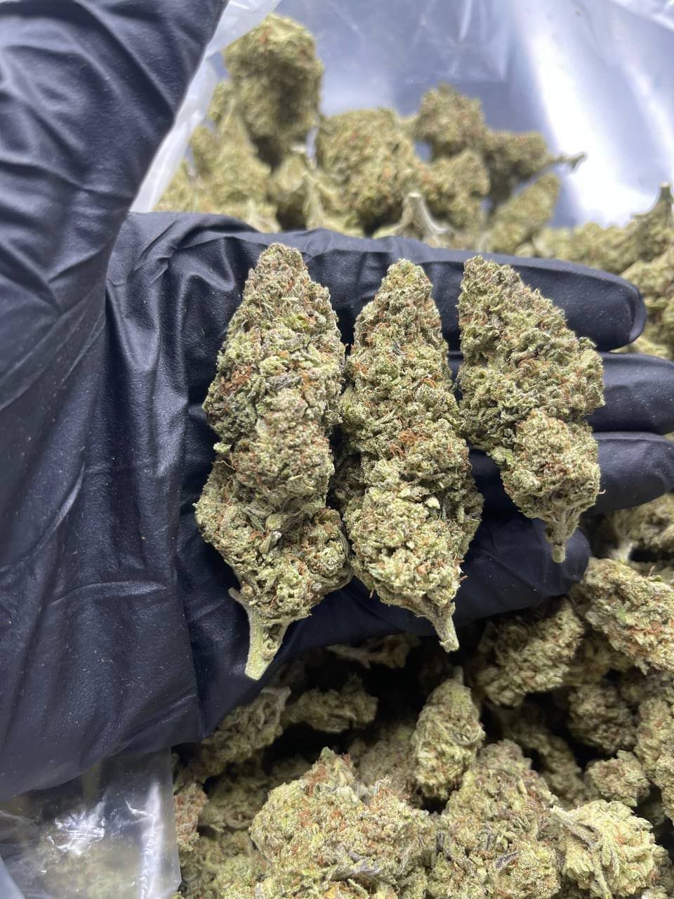 import placeholder for 15969 import placeholder for 15969