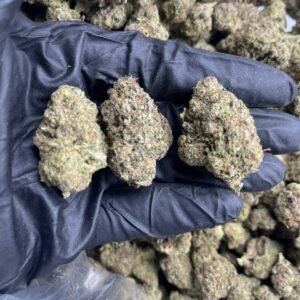 import placeholder for 15959