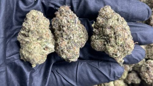 import placeholder for 15959