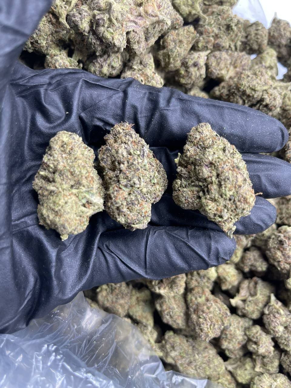 import placeholder for 15959